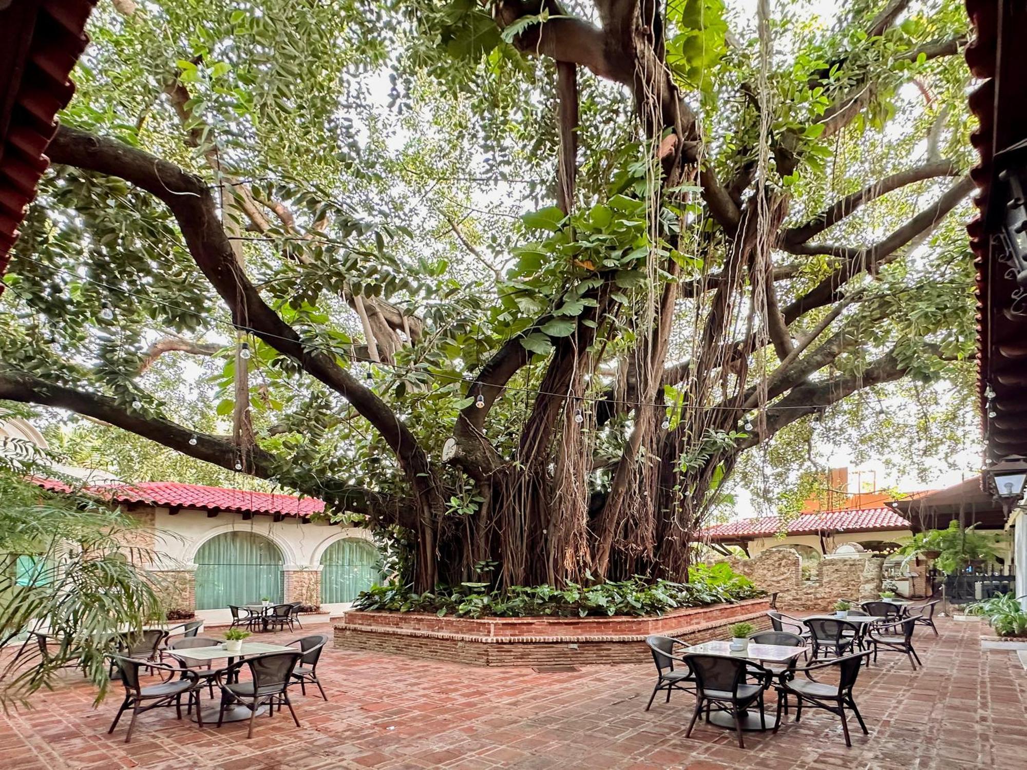 El Embajador, A Royal Hideaway Hotel Santo Domingo Kültér fotó The Banyan Tree at the Banyan Resort
